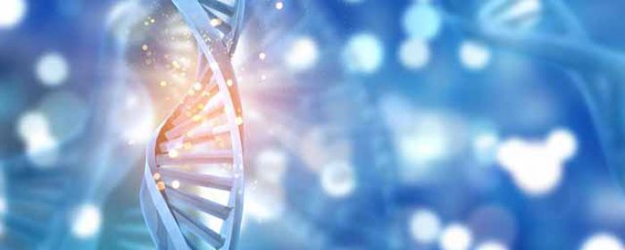 Biotech - LDVP Investment Area